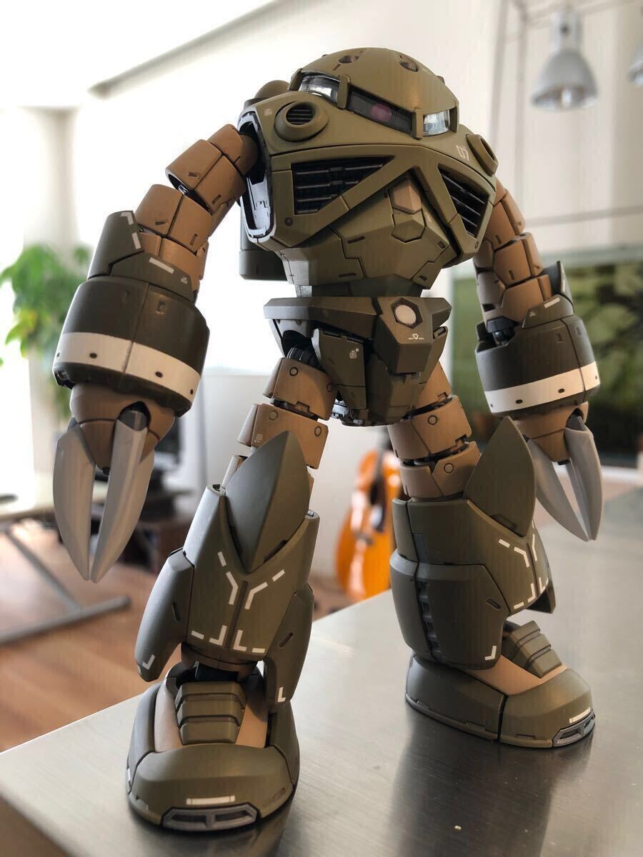 グレイブ様専用出品】RG 1/144 アスラン専用ズゴック 塗装完成品