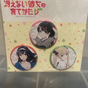 【即決・送料無料】 冴えない彼女の育てかた 缶バッジセット ☆