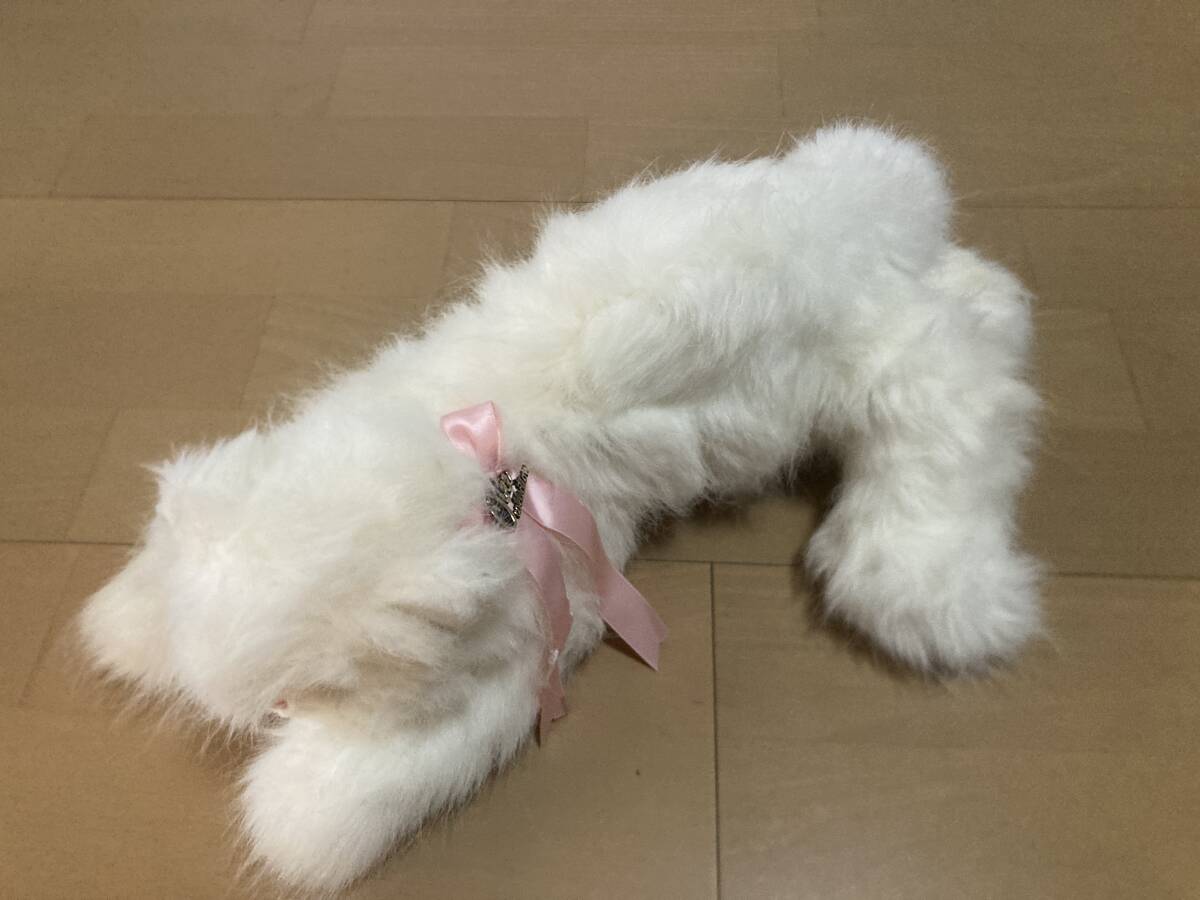 Yahoo!オークション -「オオイケ (猫 ネコ ねこ ペルシャ ボビー Yahoo!オークション -「オオイケ (猫 ネコ ねこ ペルシャ ボビー