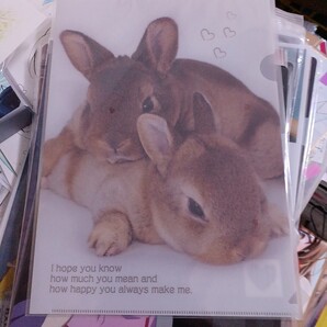 rabbitクリアファイル