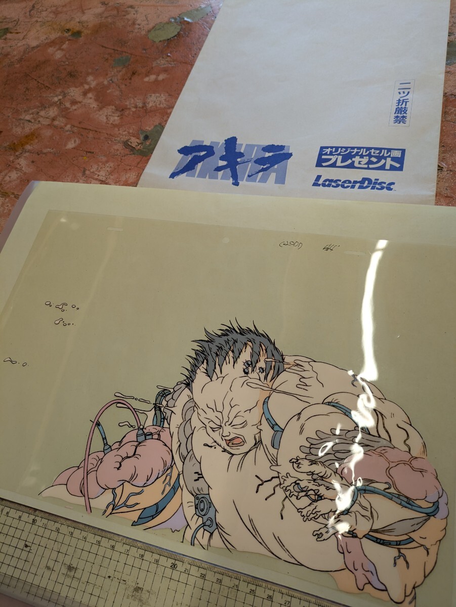 2025年最新】Yahoo!オークション -アキラ(セル画)の中古品・新品 2025年最新】Yahoo!オークション -アキラ(セル画)の中古品・新品