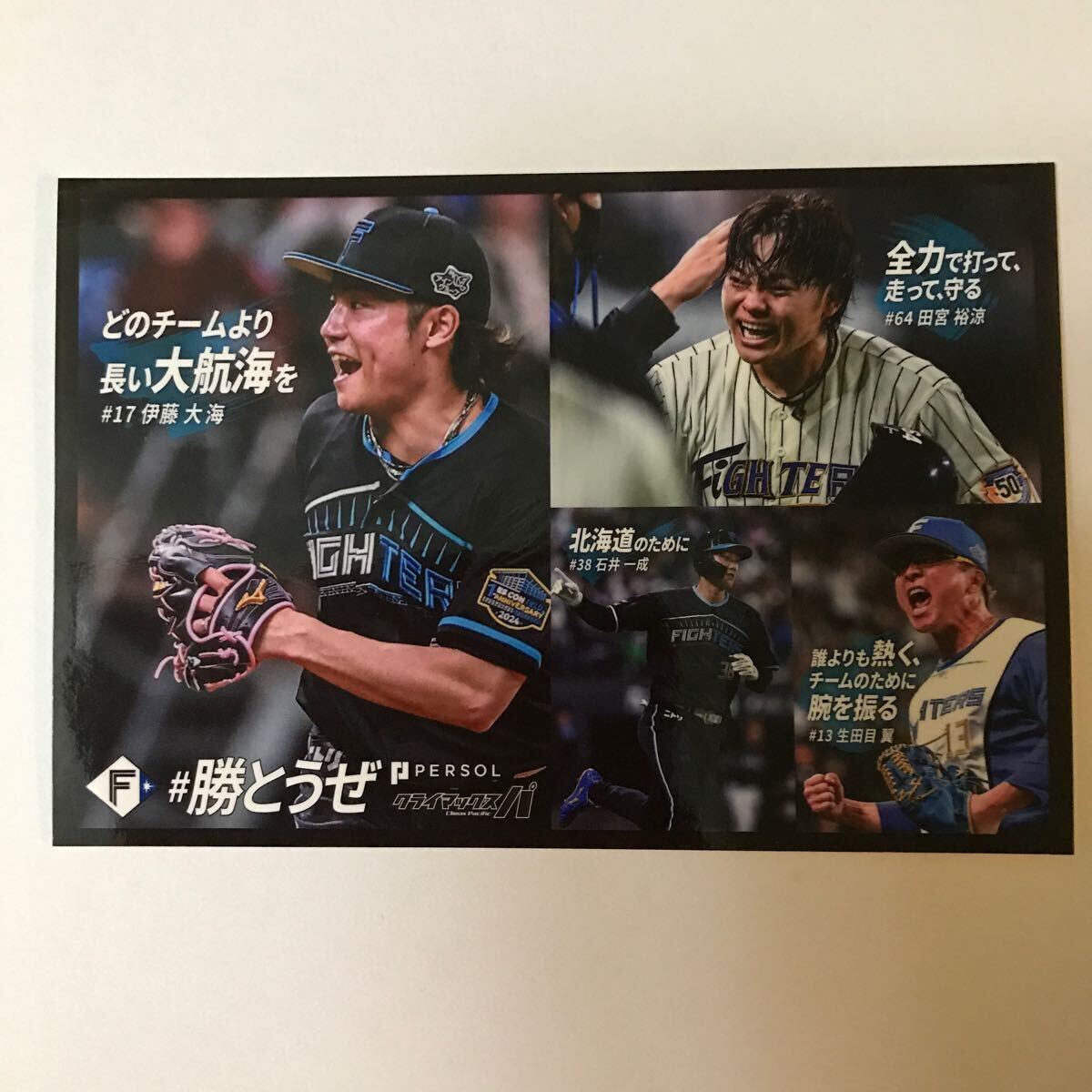 2025年最新】Yahoo!オークション -:生田目の中古品・新品・未 2025年最新】Yahoo!オークション -:生田目の中古品・新品・未