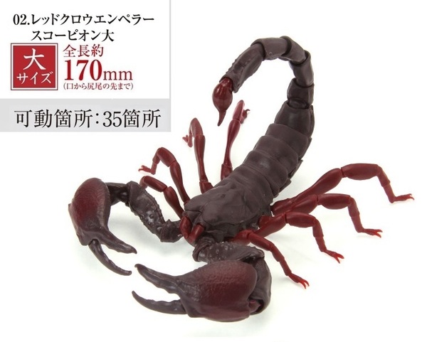 【送料無料】いきもの大図鑑 サソリ レッドクロウエンペラースコーピオン (大)