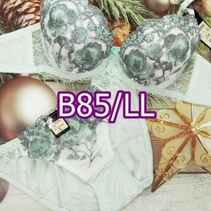 B85054-P B85/LL ブラ・ショーツセット ランジェリー インナー 下着 ハーフレースショーツ 快適冷涼ブラジャー