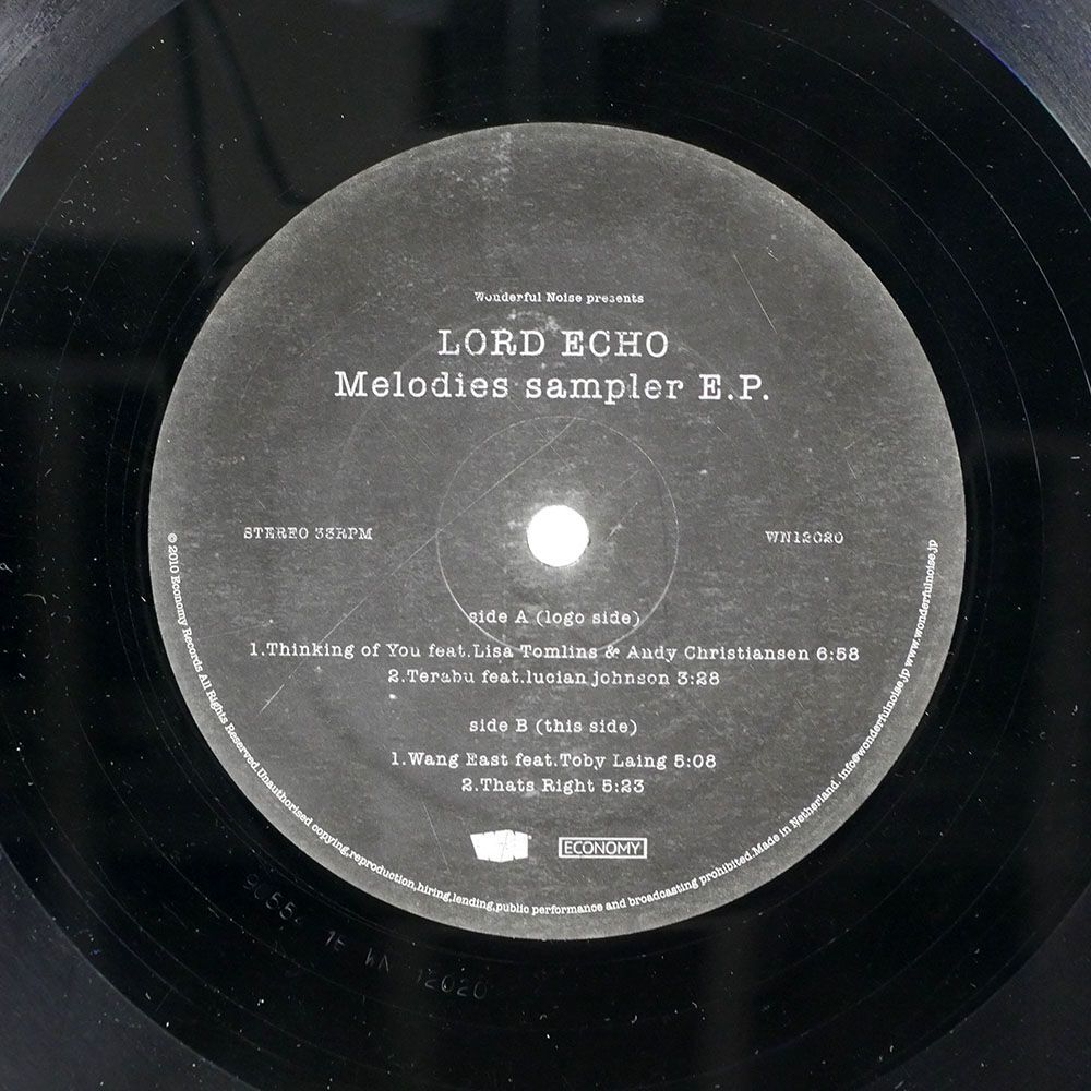Lord Echo / Cosmic Echo(dub version) (7inch), Wonderful