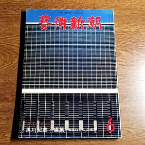 藝術新潮 1978年6月号 カイエ・ダール 黒川紀章・編集 「利休ねずみ」の世界 雑誌/芸術/アート