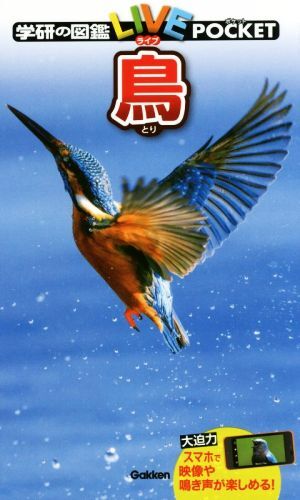 処分価格！学研の図鑑 鳥 - メルカリ