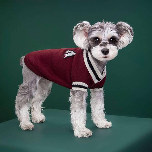 ペット服 秋冬 犬服 ニット セーター 小型犬 中型犬 大型犬 ドッグウェア パーカー 毛糸 ボア付き おしゃれ コート (S,レッド) a85
