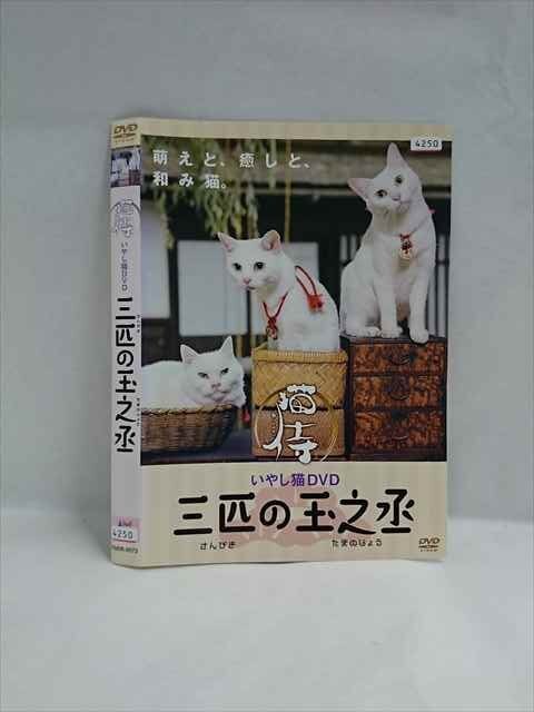 (未使用･未開封品)ドラマ「 猫侍 」DVD-BOX Amazon.co.jp: ドラマ「 猫侍 SEASON2 」DVD-BOX : 北村一輝, 森