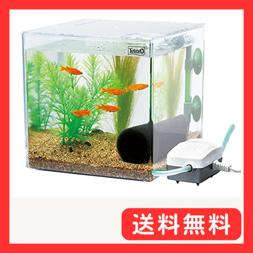 Yahoo!オークション -「アクリル水槽 中古」(水槽) (魚、水草)の Yahoo!オークション -「アクリル水槽 中古」(水槽) (魚、水草)の