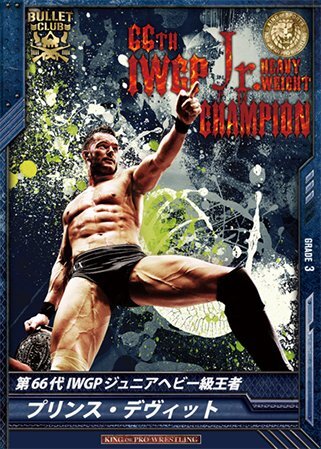 WWE フィン・ベーラー 直筆サイン入りポスター プリンス・デヴィット