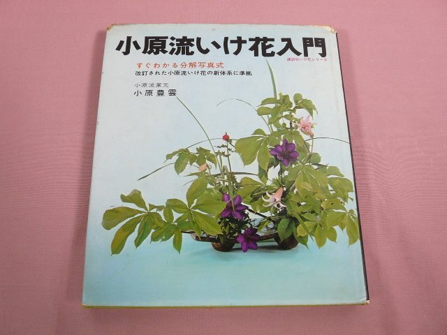 2025年最新】Yahoo!オークション -小原豊雲の中古品・新品・未 2025年最新】Yahoo!オークション -小原豊雲の中古品・新品・未