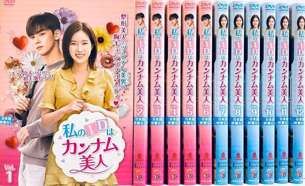 私のIDはカンナム美人 日本版 【全12巻】 レンタル版DVD 全巻セット チャ・ウヌ