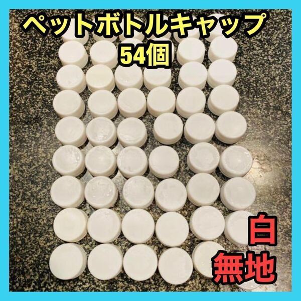ペットボトルキャップ 54個 白 無地