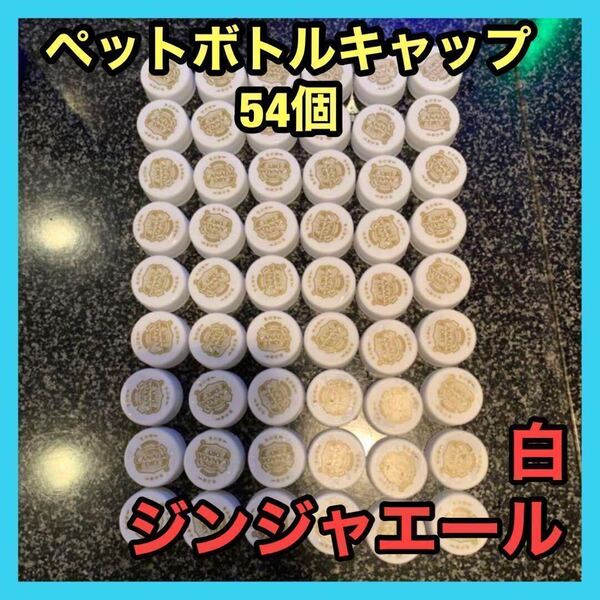 ペットボトルキャップ 54個 白 カナダドライ ジンジャエール