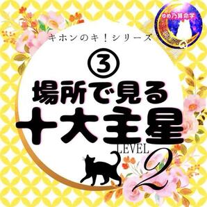 ゆめ乃算命学【キホン】③場所で見る十大主星 レベル2 独学 鑑定 本 占い