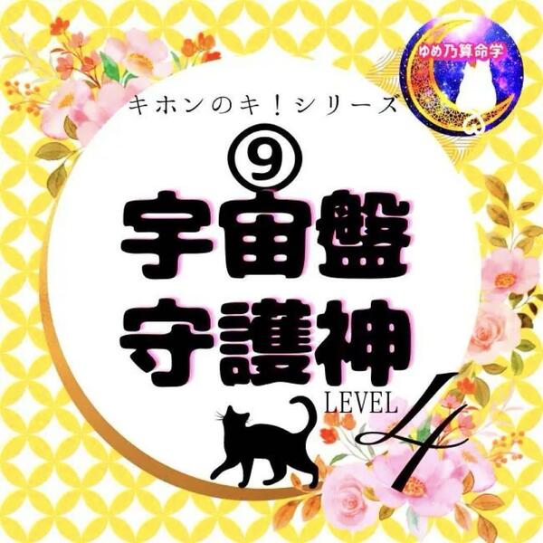 ゆめ乃算命学【キホン】⑨宇宙盤・守護神基本表 レベル4 独学 鑑定 本 占い