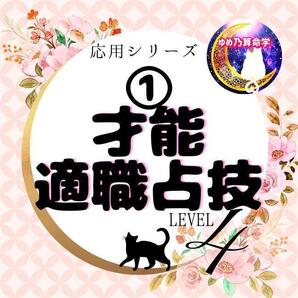 ゆめ乃算命学【応用】①才能/適職占技 レベル4 独学 占い 鑑定 本