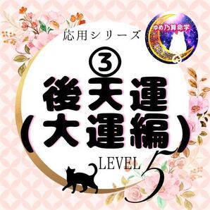 ゆめ乃算命学【応用】③後天運早見表(大運編)レベル5 運勢 独学 鑑定 本