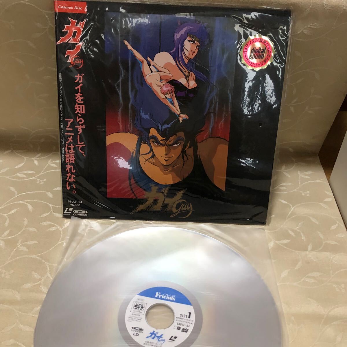 レーザーディスクの中古が安い！激安で譲ります・無料であげます