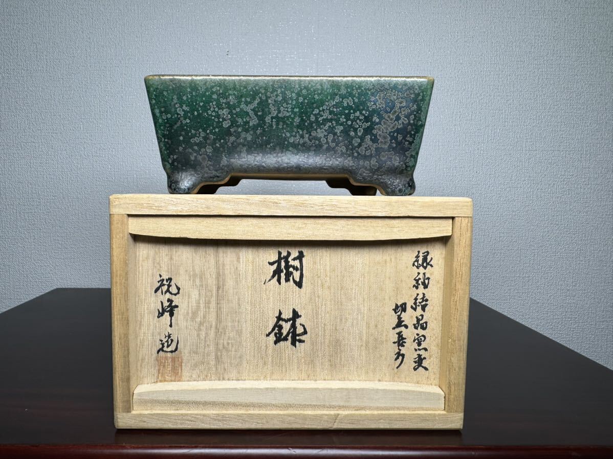Yahoo!オークション -「祝峯 鉢」(盆栽) の落札相場・落札価格 Yahoo!オークション -「祝峯 鉢」(盆栽) の落札相場・落札価格