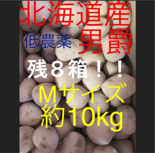じゃがいも 北海道産 農家直送 新じゃが 男爵 だんしゃく