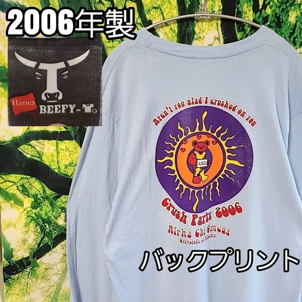 2006年製 00s バックプリント 長袖 ロンT シャツ BEEFY-T グレイトフルデッド HANES ヘインズ ビーフィー プリントTシャツ バンT フェスT