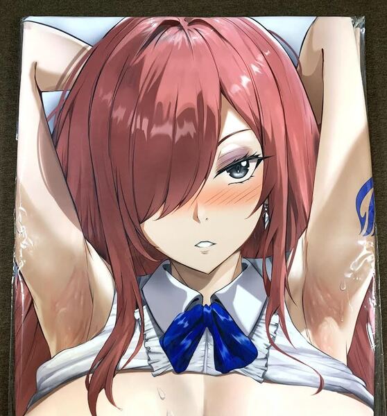 正規品 ラッコパーティー FAIRY TAIL エルザ 抱き枕カバー