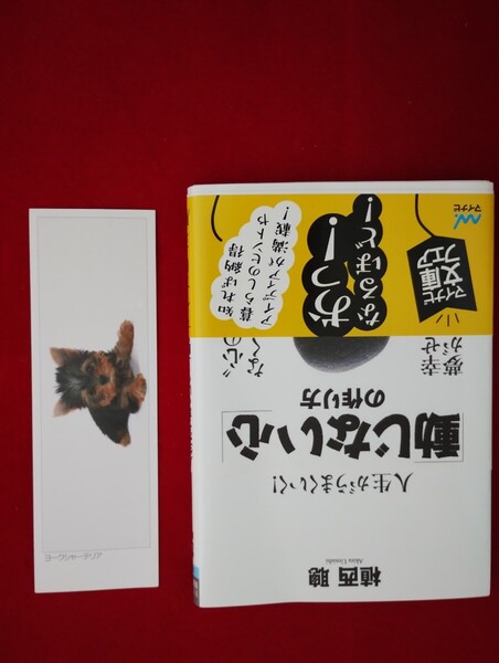 人生がうまくいく!動じない心の作り方 植西 聡著
