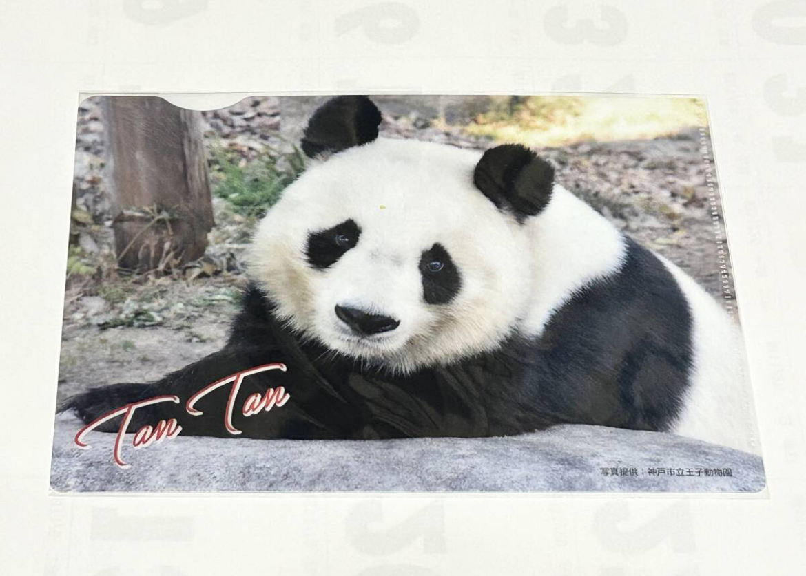 Yahoo!オークション -「王子動物園タンタン」の落札相場・落札価格 Yahoo!オークション -「王子動物園タンタン」の落札相場・落札価格