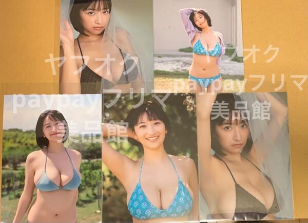 グラビアザテレビジョン 榎原依那 特典 ブロマイド 生写真 コンプリート