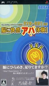 脳に快感 アハ体験!ソニーコンピュータサイエンス研究所 茂木健一郎博士監修/PSP