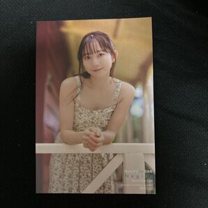 希少 青山なぎさ 写真集限定特典ポストカード