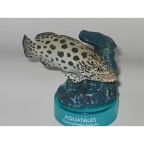海洋堂 黒潮コメッコ AQUATALES 黒潮の魚たち カスリハタ フィギュア 内袋未開封