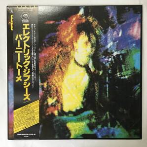 BERNIE TORME ELECTRIC GYPSIES