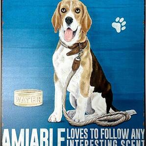 ビーグル ブリキ看板 20cm×30cm 犬 いぬ イヌ ペットブリーダー ペットグッズ インテリア 犬種 サインボード