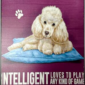 プードル ブリキ看板 20cm×30cm 犬 いぬ イヌ ペットブリーダー ペットグッズ インテリア 犬種 サインボード