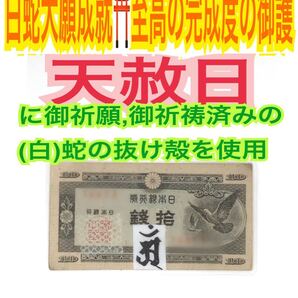 梵字 白蛇の抜け殻 辰 巳 真言 悉曇文字 12干支 厄除け 増益 脱け殻 メモリーオイル 普賢菩薩 鳩札 白蛇のお守り【天赦日ご祈祷済み】10