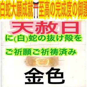 1個≪対応サイズ:3号~27号≫指輪お守り【天赦日ご祈祷】メモリーオイル 第7チャクラ リング 厄祓 金運上昇 御神環 白蛇の抜け殻 財布 24