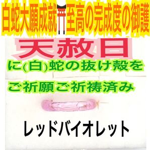 1個≪対応サイズ:3号~27号≫指輪お守り【天赦日ご祈祷】メモリーオイル 第4チャクラ リング 厄祓い 金運 御神環 白蛇の抜け殻 財布 24