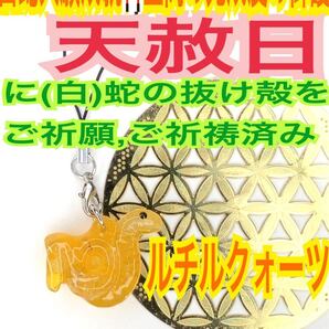 商売繁盛 メモリーオイル レジン ストラップ ルチルクォーツ 第3チャクラ 財運 金運全般 巳 十二干支 白蛇のお守り【天赦日ご祈祷済み】13
