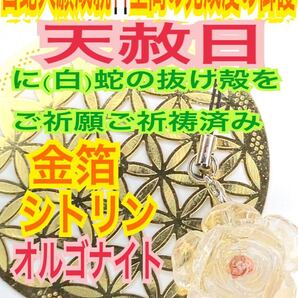薔薇 チャーム シトリン 第3チャクラ メモリーオイル レジン オルゴナイト 金運上昇 白蛇の抜け殻 開運 白蛇のお守り【天赦日ご祈祷済】13