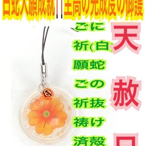 橙の福招鈴 白蛇の抜け殻 オレンジ チャーム ストラップ メモリーオイル 開運 第2チャクラ 白蛇のお守り【天赦日ご祈祷済み】13