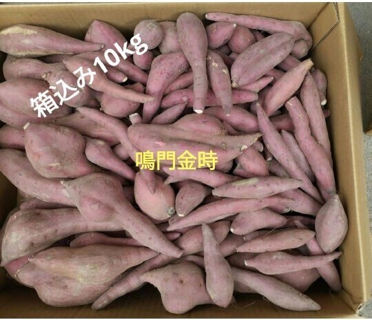 かなり 訳あり 鳴門金時さつまいも 箱込み10kg
