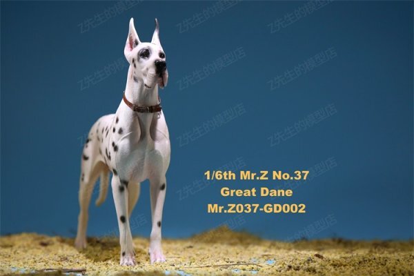 2025年最新】Yahoo!オークション -グレートデンの中古品・新品