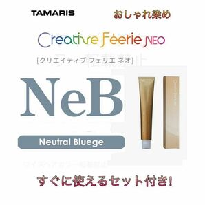 タマリス クリエイティブフェリエネオ ニュートラル ブルージュ NeB12 ヘアカラー ヘアカラー剤 ロング用 すぐに使えるセット付♪