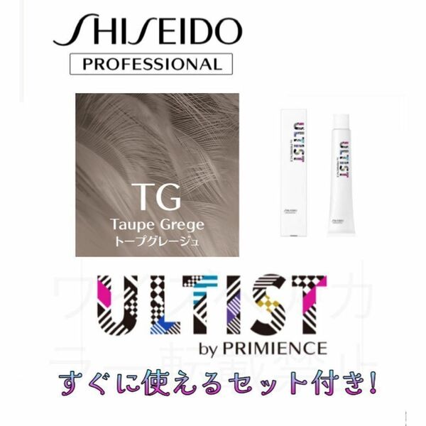 資生堂 アルティスト プリミエンス ヘアカラー ヘアカラー剤 おしゃれ染め ショート用 すぐに使えるセット付 トープ グレージュ TG 5