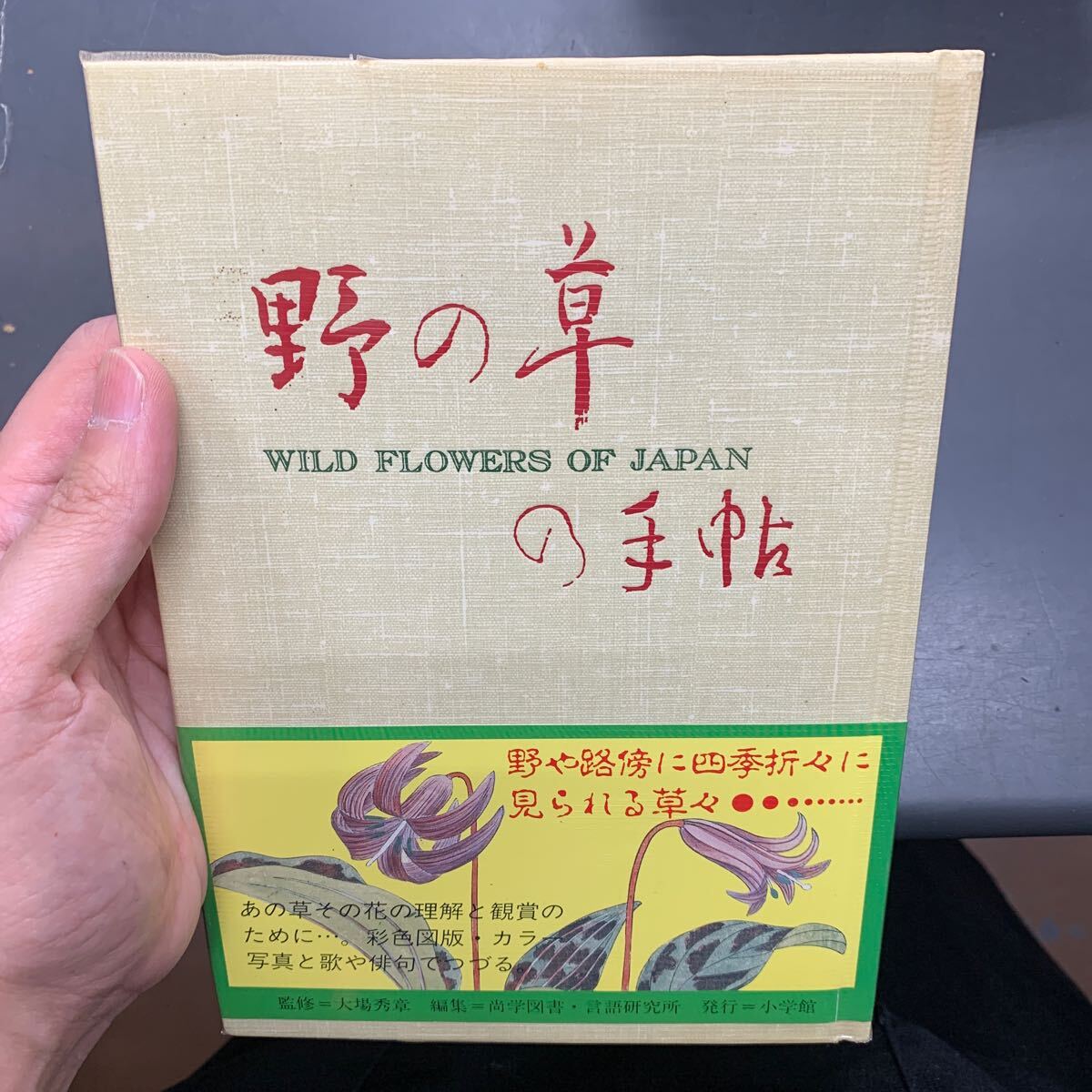 2025年最新】Yahoo!オークション -薬草 図鑑(本、雑誌)の中古品 2025年最新】Yahoo!オークション -薬草 図鑑(本、雑誌)の中古品