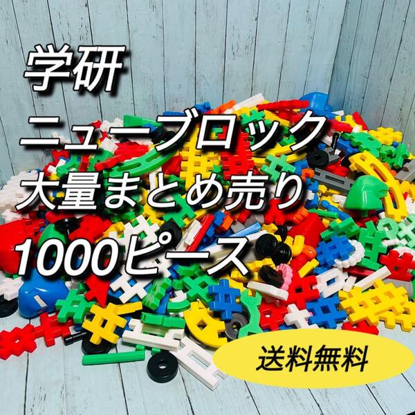 学研 Gakken ニューブロック 大量 まとめ売り 1000ピース 知育玩具 たっぷり