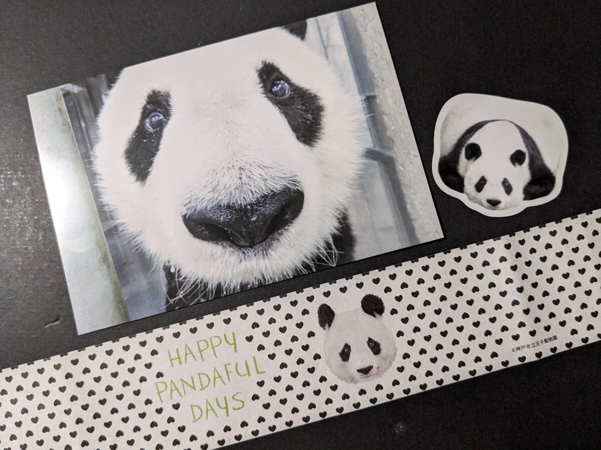 Yahoo!オークション -「王子動物園タンタン」の落札相場・落札価格 Yahoo!オークション -「王子動物園タンタン」の落札相場・落札価格
